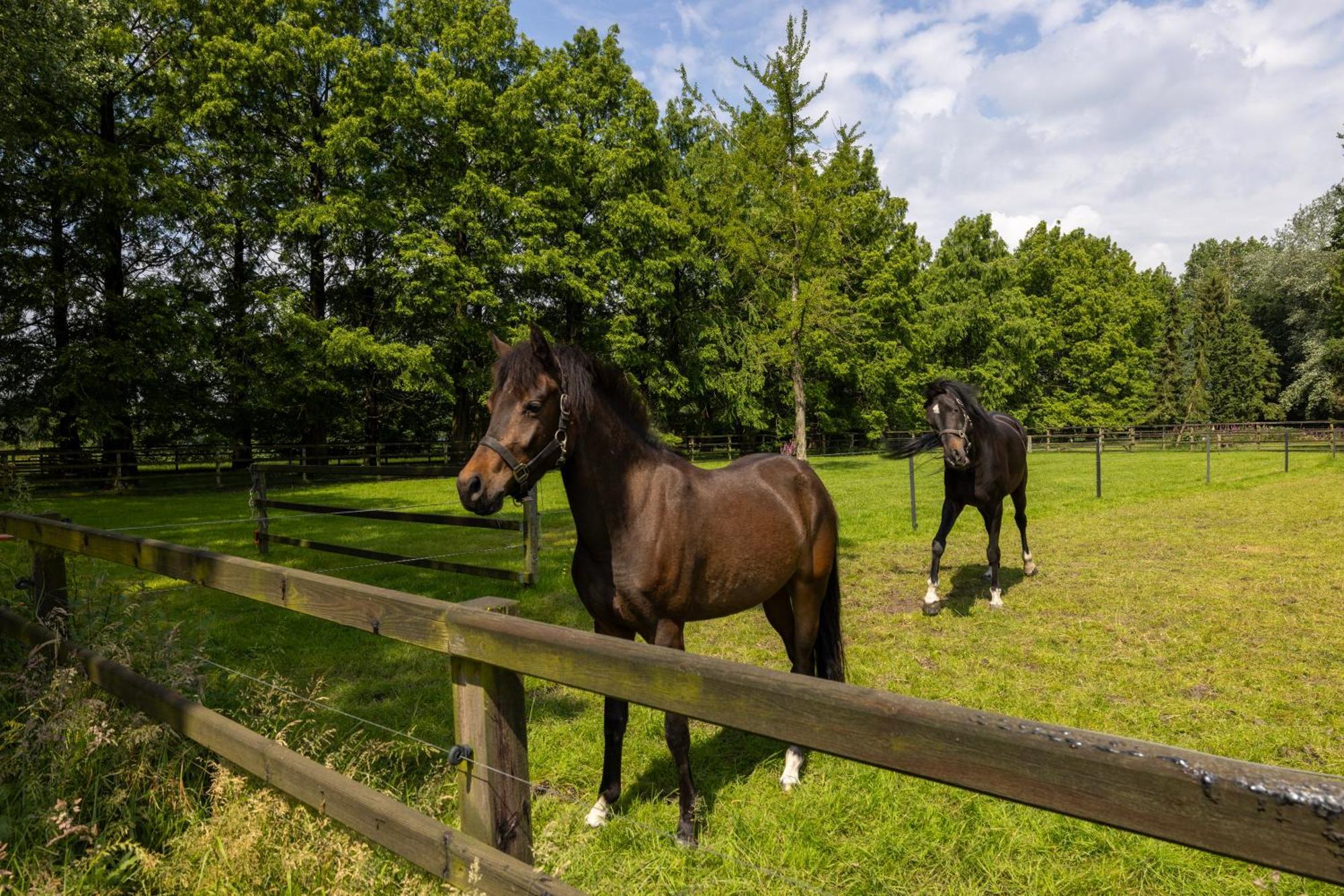 Luxe Hofstede Met Paardenstalling Люнтерен Экстерьер фото